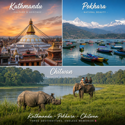 Kathmandu Pokhara Chitwan Tour Package